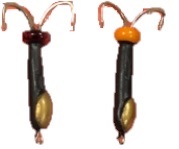 Мормышка Коза литая с бисером Мормышка Коза литая с бисером