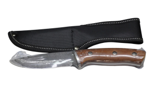 60-Photoroom 60-Photoroom