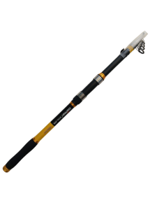 transparent-Photoroom (25) transparent-Photoroom (25)