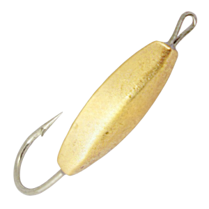 31-Photoroom 31-Photoroom