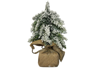 image-Photoroom (4) image-Photoroom (4)