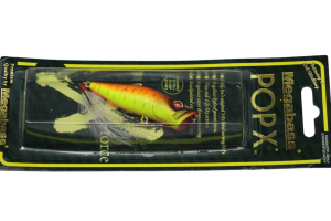 20-Photoroom 20-Photoroom