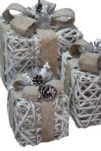 56-Photoroom 1 56-Photoroom 1