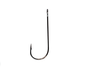 2025-04-12_01-23-32 2025-04-12_01-23-32