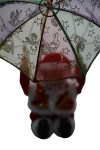 47-Photoroom (1) 47-Photoroom (1)