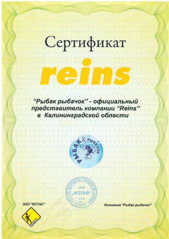 Сертификат Reins 