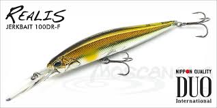 Воблер DUO Realis Jerkbait 100DR-F, 100mm, 15.3g