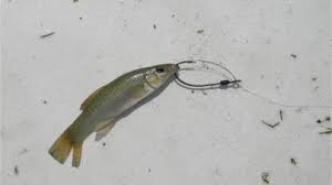 Риппер TRAPER Minnow Fish, 100mm
