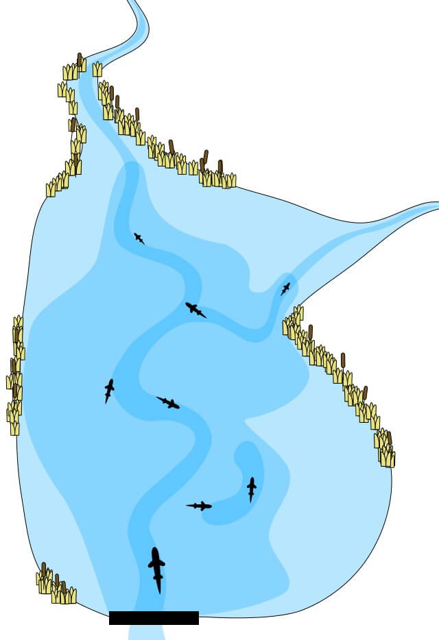Карта примерных мест стоянок щуки перед ледоставом