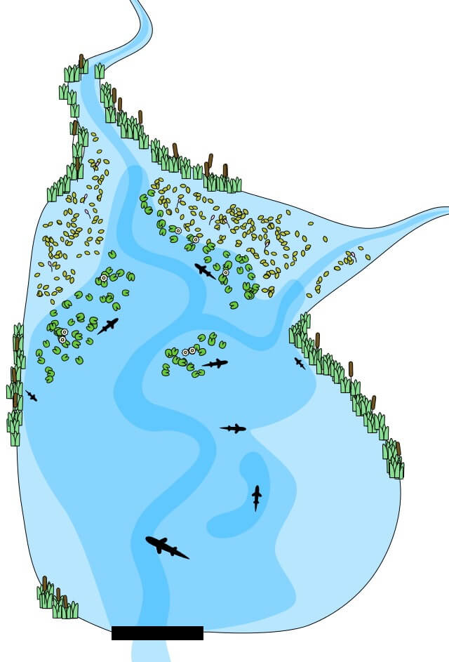 Карта возможных мест стоянок щуки на искусственном водоеме 