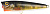 Воблер Spro Ikuru POP65 Yellow Perch, (4374-003)