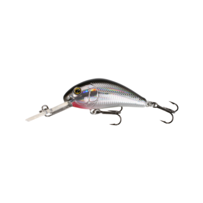 Картинка с сайта Картинка с сайта