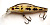 Воблер AIKO DUKE MINNOW 80S 80mm 10.9g