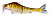 Воблер AIKO V-TWAIN MINNOW 90F 90mm 13.6g