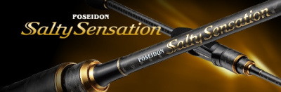 Спининг Ever Green Poseidon Salty Sensation, 2.48м, 1,5-24гр