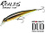 Воблер DUO Realis Jerkbait 100F, 100mm, 13.7g