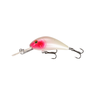 Картинка с сайта Картинка с сайта