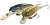 Воблер Pontoon 21 Alter-Idem 42SP-SR, 42mm, 3g