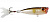 Воблер OWNER GP-60 C'ultiva Gobo Popper, 6.0cm, 6.3g, цвет 06