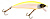 Воблер Spro PC Minnow 7cm - 10gr, Chart Back, 4399-057