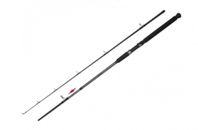 Спиннинг штекерный Wind Echo, 2,7m, 50-100g