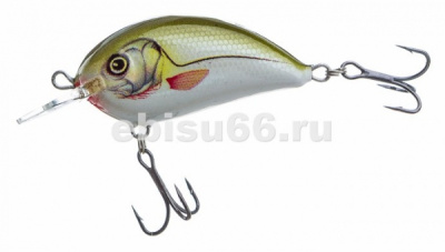 vobler-ritmo-rt4mr_dajpg