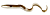 Приманка силиконовая  Savagear LB real Eel 15cm, 12gr, 30pcs 