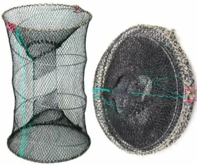 Снимок экрана 2025-10-24 235952