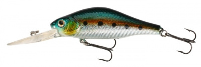 Картинка с сайта