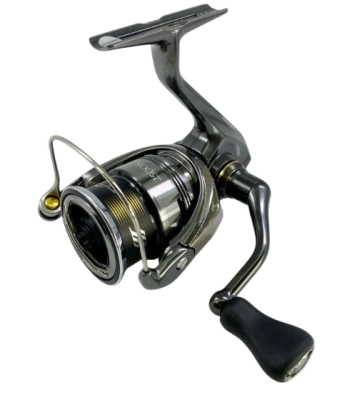 transparent-Photoroom (34) transparent-Photoroom (34)