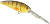 Воблер Spro Gomen Shad 60 Yellow Perch, (4810-307)