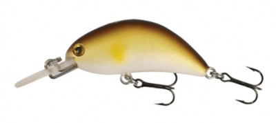 Картинка с сайта Картинка с сайта