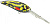Воблер Spro Gomen Shad 60 Aussie Poison Frog, (4810-303)