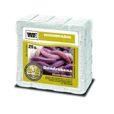 Черви Dendrobeana, 500g