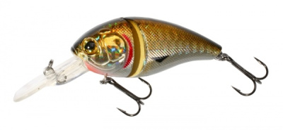 Картинка с сайта Картинка с сайта