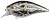 Воблер Spro Ikuru Crank-SL SFL, Python, (4373-009)