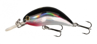 Картинка с сайта Картинка с сайта