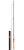 карбон