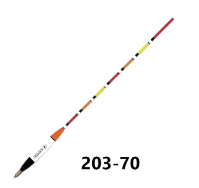 203-70-204 203-70-204