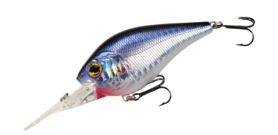 Картинка с сайта Картинка с сайта