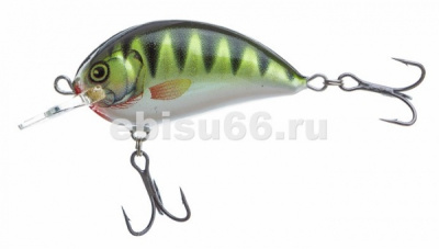 vobler-ritmo-rt4mr_prjpg vobler-ritmo-rt4mr_prjpg