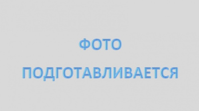 Садок железный 33*45 Садок железный 33*45