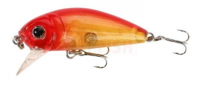 Картинка с сайта Картинка с сайта