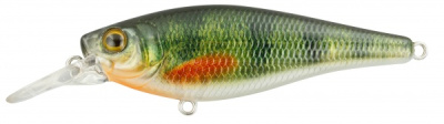 Воблер Spro Ikuru Shad 70 SL SP Green Perch, (4370-002)