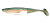 Приманка силиконовая LUNKER CITY Swimfish 3.75