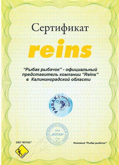 Сертификат Reins
