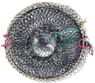 Снимок экрана 2025-10-24 235941