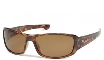 Очки Solano FL20014E Chub Очки Solano FL20014E Chub