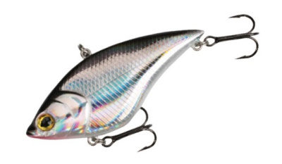 Картинка с сайта